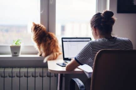 Woman sitting at her desk working from home with her cat. Stock image.