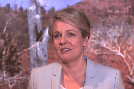 Tanya Plibersek