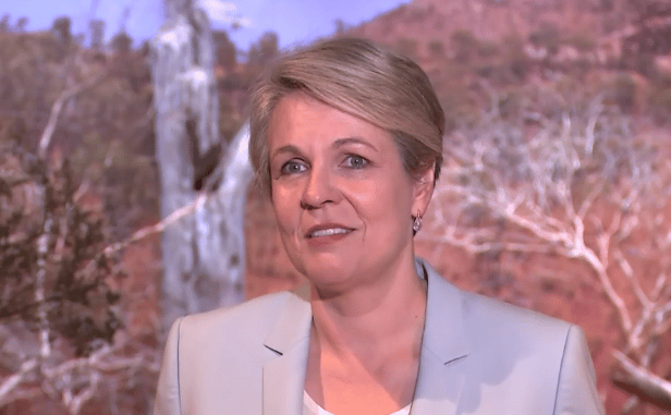 Tanya Plibersek